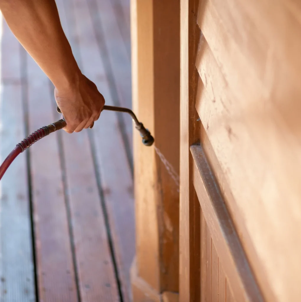 Trusted Pest Control - Clarence Pest Control Pros | Clarence, NY | 716-309-4877